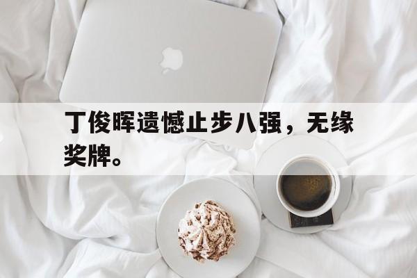 畅玩电子游戏-丁俊晖遗憾止步八强，无缘奖牌。