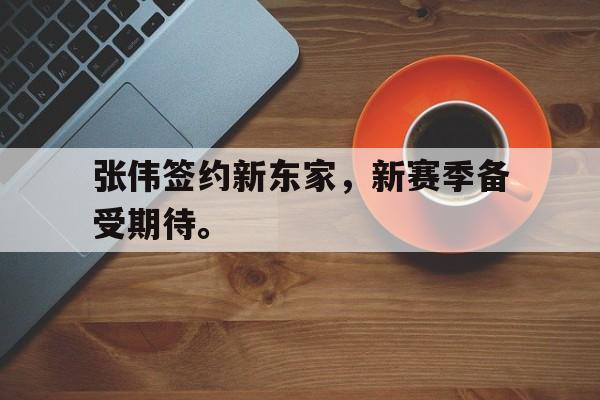 畅玩电子游戏-张伟签约新东家，新赛季备受期待。