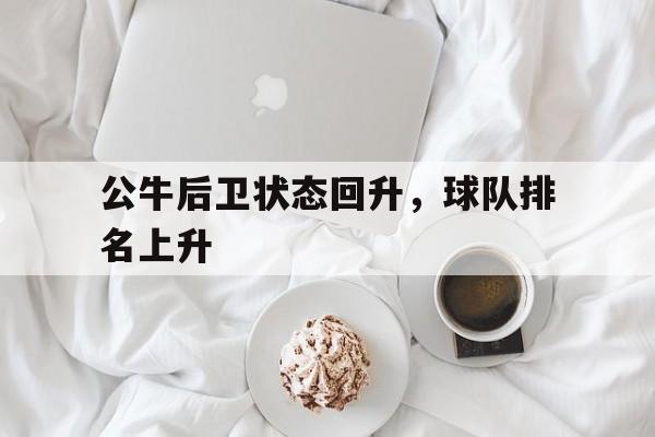畅玩电子游戏-公牛后卫状态回升，球队排名上升